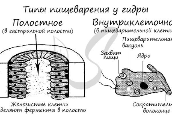 Kraken ссылка tor зеркало