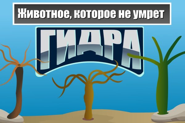 Ссылка на мегу через тор онион